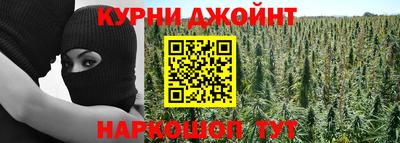 PSILOCYBIN Нальчик