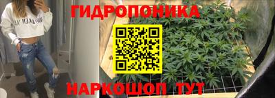 трава Новозыбков