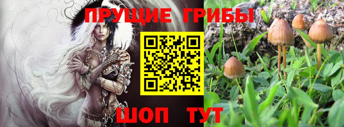 Галлюциногенные грибы мухоморы  Вход с VPN  Соликамск 